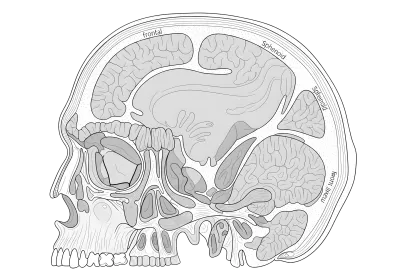 Imagen PNG para descargar